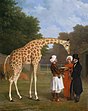 Jacques-Laurent Agasse, Die Nubische Giraffe (1827)