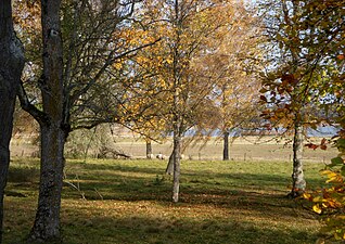 Tullgarns naturreservat.