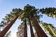 Yosemite National Park at California, United States.