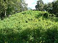 Mound 2 at Lake Jackson Mounds Archaeological State Park, 2007.