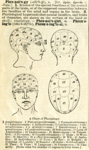 Phrenology, a pseudo-science fashionable in the 19th century.