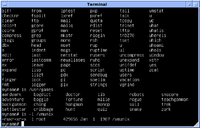 4.3 BSD from the University of Wisconsin, c. 1987. Rogue is shown in "/usr/games".