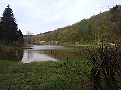 Fischteich Bärenfichtenweiher zwischen Niederreifenberg und Schmitten; rechts erhebt sich der Sängelberg