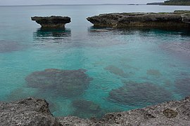 Koraljni greben Lifou