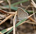 In Hyderabad, India