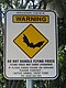 Australia: fruit bats, virus risk.