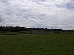 Corn fields in the direction of Rhenen, seen from Achterberg