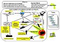 Joint Network Enabled Weapon (NEW) Capability Operational Concept Graphic (OV-1).