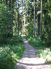 Photograph of a dirt trail through a forest