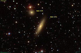 Image illustrative de l’article NGC 1175