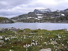 Old mountain pass from Aurland to Lærdal (above the Lærdalstunnelen)
