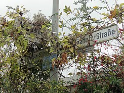 Otto-Bögeholz-Straße