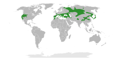 Área de distribuição natural de Paeonia.