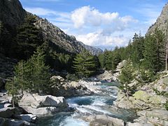 Gorges de la Restonica.