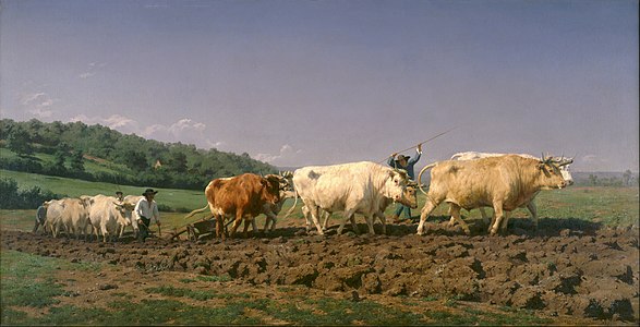 Ploughing in the Nivernais, by Rosa Bonheur
