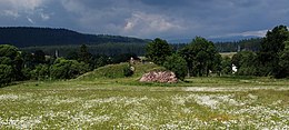 Czarny Bór – Veduta