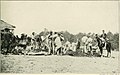 The 1st Massachusetts Heavy Artillery Regiment bury dead Confederates at the Alsop Farm May 19, 1864