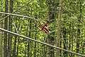 Zipline coaster