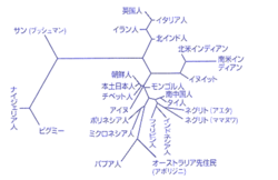 遺伝子データにもとづく系統樹