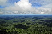 Vista da torre do Museu da Amazônia