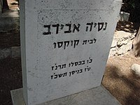 נסיה אבידוב