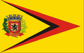 Bandeira de Braúna