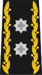 Divisionär generalmajor militärbefälhavare