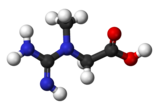 Ball and stick model of creatine