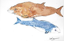 A mother and calf, female and male Cuvier Beaked Whale