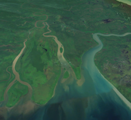 Digul Estuarium (NASA Landsat)