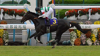 2013年冠軍「神威啟示」