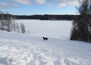 Getaren på vintern