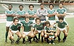 Miniatura para Campeonato Brasileiro de Futebol de 1978