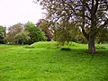 Guiting Power - Anglo-Saxon 'tumulus'