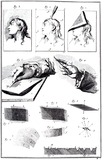 『百科全書』（1751年 - 1772年）は印刷術の発達と、知識を広める啓蒙思想から大量の挿絵を採用した。啓蒙思想は仏語でLumières「光」であり、illustrationと同語源（カテゴリ）