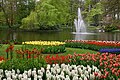 Il parco botanico olandese del Keukenhof