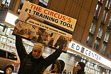 Lindsey Pearlman leads a protest of Ringling Bros. and Barnum & Bailey Circus in Chicago in 2013