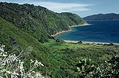 Photographie d'une côte très accore et couverte de végétation qui plonge dans la mer.