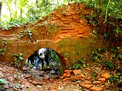 The remains of Garh Mendabari, locally popular as Nal Rajar Garh