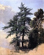 1849 Nature Study, Trees, Newburgh, New York