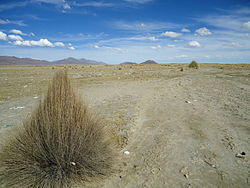 The Asanaki mountain range as seen from Machaqa Marka with Qurimina, Pepitu (4.478 m) and Wila Ch'ankha on the left and Iswaya Island (3.879 m) (lying in the Desaguadero River) in the middle of the picture.