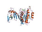 1gua​: Ljudski RAP1A, ostaci 1-167, dvostruki mutant (E30D,K31E) u kompleksu sa GPPNHP i RAS vezujućim domenom ljudskog C-RAF1, ostaci 51-131