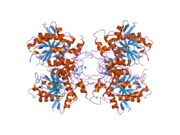 2p82: Cysteine protease ATG4A