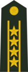 Погон старшего полковника (Colonel Commandant) сухопутных войск КНР (2007—2009).