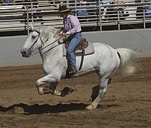 En barrel racing, États-Unis, 2009.