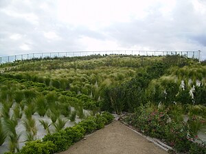 Cima de la estación poblada de vegetación frondosa