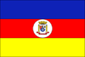 Bandeira de Porto Mauá