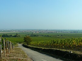 The village viewed from the vineyard