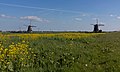 Zevenhuizen, windmill: de Tweemanspolder Molen No. 2