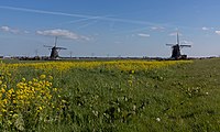 Windmill: de Tweemanspolder Molen No. 1 and 2